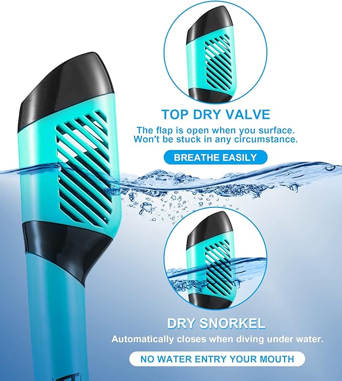 Aegend Snorkeling Gear for Adults Youth Kids, Snorkel Mask with Top Dry Valve - Panoramic View Anti-Leak and Anti-Fog with Mesh Bag for Snorkeling, Scuba Diving, Freediving & Swimming