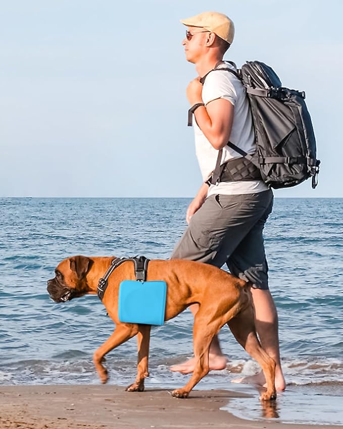 Collapsible Portable 2-in-1 Dog Bowl, Integrated Travel Dog/Cat Food Water Bowl, Silicone Foldable Expandable Bowl with Carabiner - Anti-Spill and Anti-Skid - for Camping/Traveling LPFLASAT (Blue)