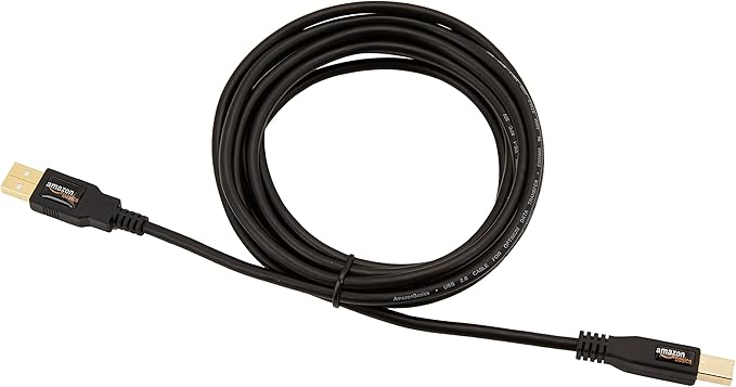 Amazon Basics USB-A to USB-B 2.0 Cable for Printer or External Hard Drive, Gold-Plated Connectors, Black, 10 Foot (Pack of 2)