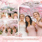 6 Pack Cherry Blossom Umbrella Clear Folding Travel Transparent Floral Rain Umbrellas For Adult Kids Girls Romantic Flower Wedding Decoration Auto Open Umbrella