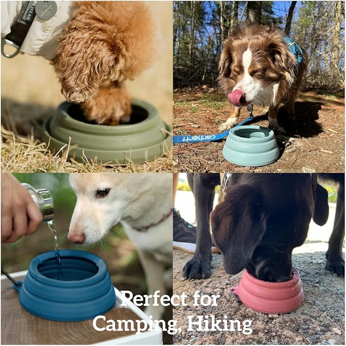 OHMO Spill Proof Collapsible Dog Water Bowl 24oz for Cars, No Splash Portable Bowls for Dog Travel, Dishwasher Safe, Pet Essentials for Road Trips, Cat Travel Accessories