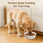 40 Pack Disposable Dog Bowls, 16 oz Paper Pet Bowls for Cats & Dogs, Disposable Cat Food Bowls for Dry Wet Food & Water, Travel Feeding Bowls for Small Medium Pets