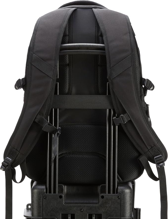 Amazon Basics Travel Laptop Backpack with Multiple Pockets and Compartments for 17 in / 43.1 cm Laptop, Water Resistant, Spacious with Padded Shoulder Straps, Black