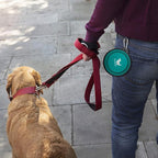 Collapsible Dog Bowls for Travel, 2-Pack Dog Portable Water Bowl for Dogs Cats Pet Foldable Feeding Watering Dish for Traveling Camping Walking with 2 Carabiners, BPA Free
