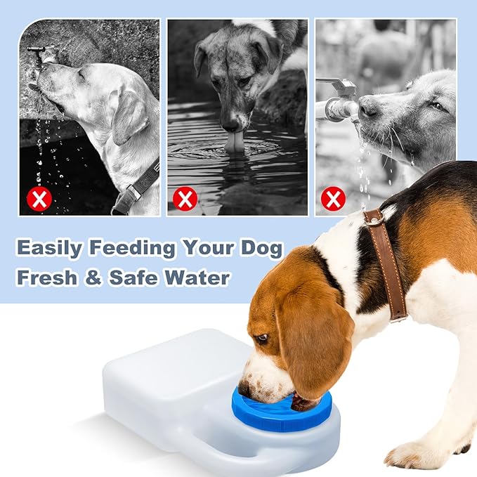 Ziliny 1 Pcs 3 Quart No Spill Portable Dog Travel Water Bowl Pet Water Bowl for Pet Dispenser for Small Large Dogs Cats Camping Hiking Trips Car RV Boat Road Mess-Free Design