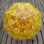Clear Bubble Umbrella - Automatic Opening Clear Dome Umbrella with the Stylish J-Shaped Handle for Men and Women, Wedding, Outings and Large Group Gatherings, Graduations, Proms, or Daily City Walks