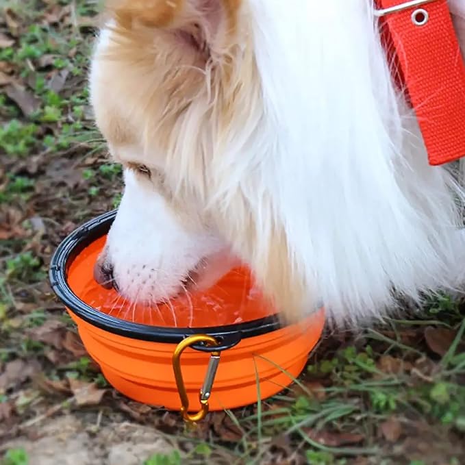 2 Pack Dog Bowl Pet Collapsible Bowls with Clasp Puppy Travel Bowl Portable Cats Water Food Dish for Walking Parking Outdoors Traveling