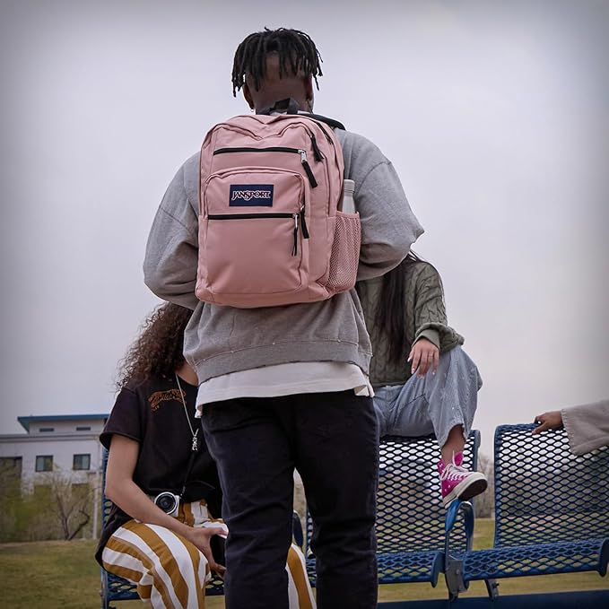 JanSport Laptop Backpack - Computer Bag with 2 Compartments, Ergonomic Shoulder Straps, 15” Laptop Sleeve, Haul Handle - Lavender Ash
