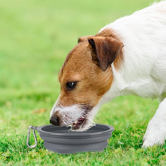 Kytely Collapsible Dog Bowls Medium (650ml), 2 Pack Travel Dog Bowls for Dog Cat, Portable Pet Water Food Bowl with Clasp, Pet Cat Feeding Cup Dish for Outdoor, Travel, Walking, Parking