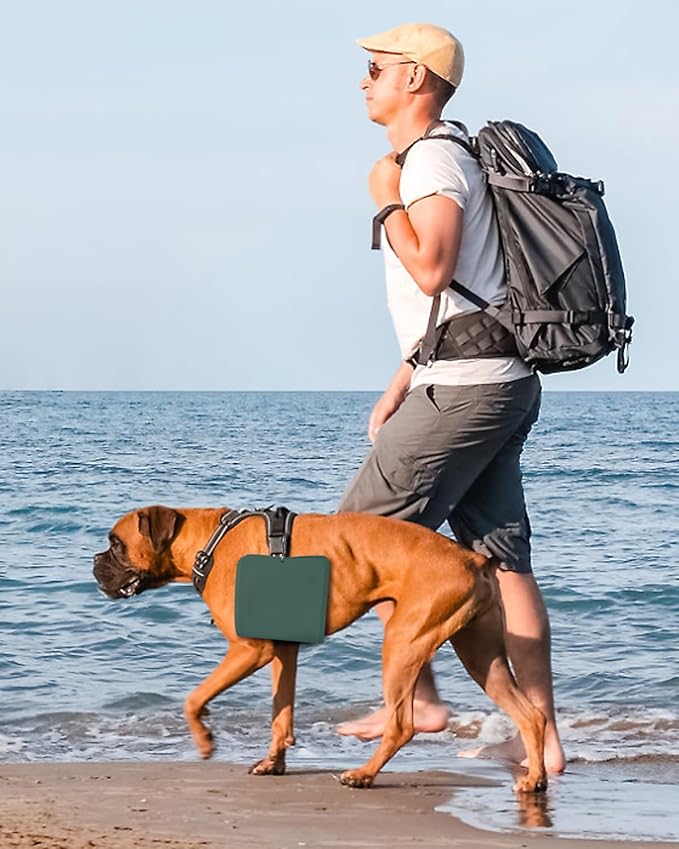 Collapsible Portable 2-in-1 Dog Bowl, Travel Dog Bowl Integrated, Silicone Foldable Expandable Food Water Bowl with Carabiner - Anti-Spill and Anti-Skid - for Camping/Traveling LPFLASAT (Dark Green)