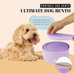 30 Oz Travel Dog Bowls with Lids, 2-in-1 Portable Pet Bowls for Food and Water, Leakproof Travel Dog Food & Water Bowl for Outdoor, Camping, Travel Dog Feeding Bowl, Daycare Pet Bowls