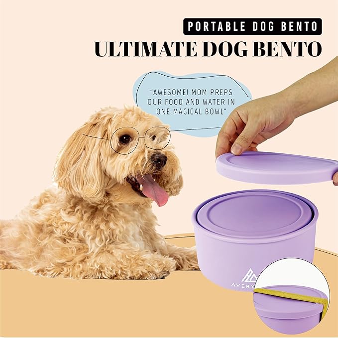 30 Oz Travel Dog Bowls with Lids, 2-in-1 Portable Pet Bowls for Food and Water, Leakproof Travel Dog Food & Water Bowl for Outdoor, Camping, Travel Dog Feeding Bowl, Daycare Pet Bowls