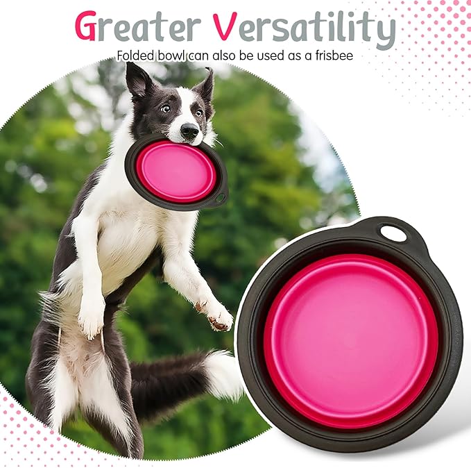 PINVNBY Elevated Dog Bowls Portable Raised Dog Bowl Stand with 2 Collapsible Silicone Food Bowl Non-Slip Travel Bowls for Small Dogs and Cats (14.6" L x 3.9" W x 3.9" H)