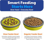 American Kennel Club 2-Pack Collapsible Travel Bowls for Dogs – Gray/Green, Portable Food & Water Bowls