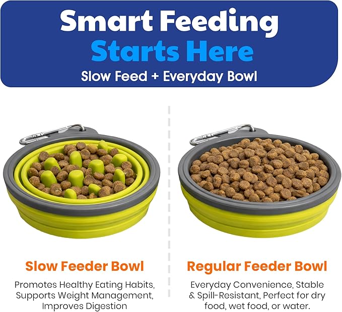 American Kennel Club 2-Pack Collapsible Travel Bowls for Dogs – Gray/Green, Portable Food & Water Bowls