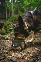 Ruffwear, Quencher Collapsible Dog Bowl, Packable Food & Water Bowl with Waterproof Lining, Water-Resistant Shell, & Reflective Trim, Lightweight, 4.2 Cups (1 L), Moonlight Mountains, Medium