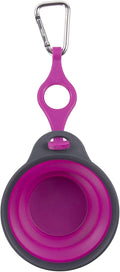 Dexas Pets Collapsible Travel Pet Cup with Bottle Holder and Carabiner, Fuchsia