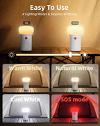 LED Rechargeable Camping Lantern with Hook - 6000mAh Emergency Outdoor Camping Lights, IPX5 Water Resistant Portable Tent Lights for Camping Hiking, Backpacking, Fishing, Outages (White)