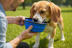 Silicone Collapsible Pet Bowl for Travel - Portable, Leak-Proof Dog & Cat Bowl, Easy Clean Collapsible Pet Dish for Hiking, Camping, Car Rides (Blue, 33.8oz)