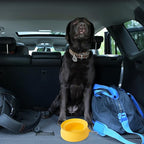 SLSON Spill Proof Dog Water Bowl for Cars,Collapsible No Splash Dog Travel Bowls Integrated Molding Portable Pet Bowl for Road Trip Truck,RV,SUV,Boat Accessories (Yellow)