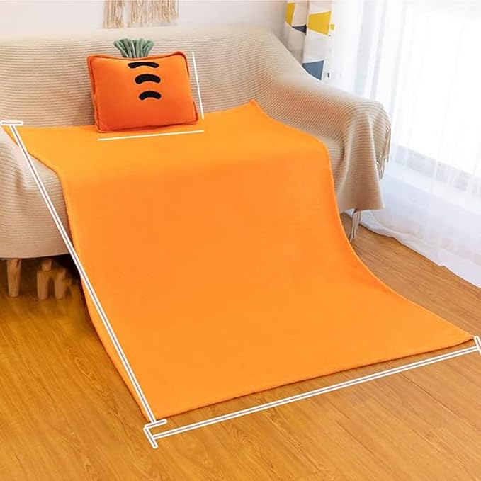 Fruit Throw Blanket and Pillow Set, Travel Blanket Compact Convenient Bed Throw Pillows with Airplane and Car Suitable for Office Nap Time (C, 67in x 59in)