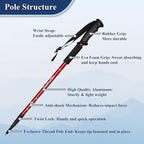 TheFitLife Nordic Walking Trekking Poles - 2 Sticks with Anti-Shock and Quick Lock System, Telescopic, Collapsible, Ultralight for Hiking, Camping, Mountaining, Backpacking, Walking, Trekking