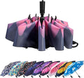 LANBRELLA Umbrella Windproof Compact Travel Umbrella Auto Open Close for Rain