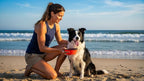 Collapsible Dog Bowl, Travel Dog Bowl, Collapsible Water Bowl for Dogs & Cats, Portable Silicone Dog Travel Bowl, Foldable Pet Food & Water Bowl, Outdoor Dog Bowls for Traveling (Red)