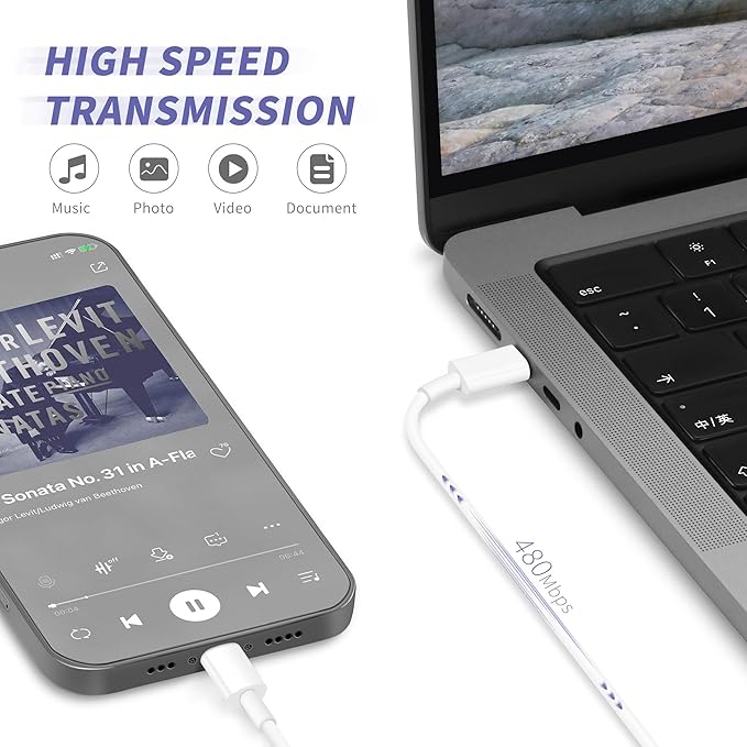 iPhone Charger Fast Charging,[MFi Certified] 2Pack 20W Type C Fast Charger Block with [10FT&6FT] USB C to Lightning Cable Compatible for iPhone 14/13/12/11 Pro Max/Xs Max/XR/X,iPad