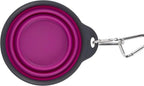 Dexas Pets Collapsible Travel Cup, Large/2 Cup Capacity, Fuchsia