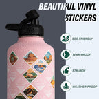 DYSANKY National Parks Water Bottle – 64 oz Insulated Stainless Steel Bottle with 63 Hand-Drawn Park Stickers, Carrier Bag, Strap & Gift Box – BPA-Free – Ideal for Hiking, Camping & Travel