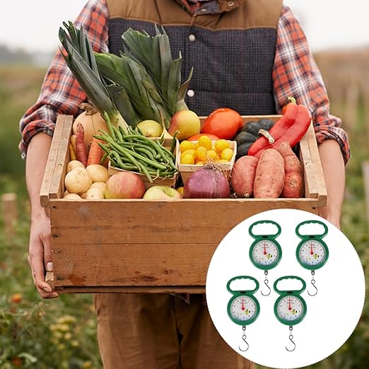 Beaupretty 4pcs Portable Luggage Scales with Plastic Handle, Handheld Spring Hanging Hook Fish Scale and Vegetable Weighing Tool for Travel and Kitchen Use, Random Colors