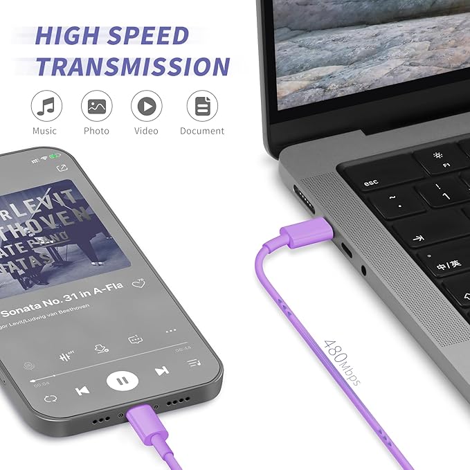 iPhone Charger Fast Charging,[MFi Certified] 2Pack 20W Type C Fast Charger Block with [10FT&6FT] USB C to Lightning Cable Compatible for iPhone 14/13/12/11 Pro Max/Xs Max/XR/X,iPad