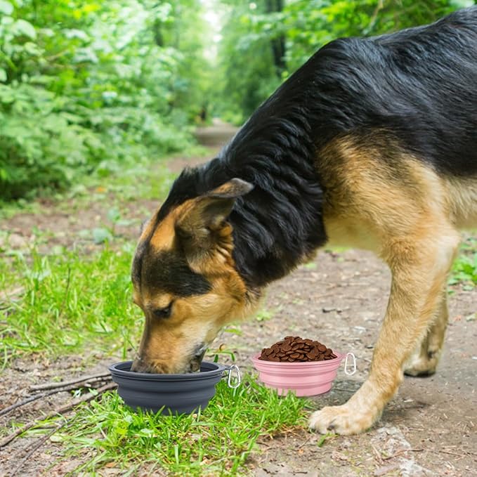 Kytely Collapsible Dog Bowls X-Large (1500ml), 2 Pack Foldable Travel Bowls, Portable Dog Water Food Bowl with Clasp, Pet Feeding Cup Dish for Traveling, Walking, Hiking (Pink+Grey)