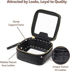 PACKISM Clear Makeup Bag - TSA Approved Toiletry Bag for Carry-on & Checked Luggage, Water Resistant Car Storage Organizer with Reinforced Seams