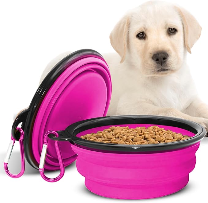Collapsible Dog Bowls for Travel, Portable Dog Water Bowl & Food Bowl for Dogs and Cats, Foldable Pet Feeding Dish for Walking Hiking Camping with Carabiner, BPA Free, Purple