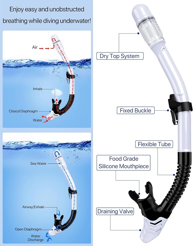 Ubekezele Snorkeling Gear for Adults Men Women,4 in 1 Snorkel Set with Panoramic View Diving Mask Anti-Fog Anti-Leak,Dry Top Snorkel,Fins and Travel Bag for Swimming,Snorkeling and Travel Diving