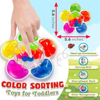 Color Sorting Sensory Toys for Autism, Roadtrip Travel Essenstial for Toddler, Color Matching Fidget Toy Preschool Learning Activities Educational Calm Down Montessori Toy for Kids Ages 1 2 3