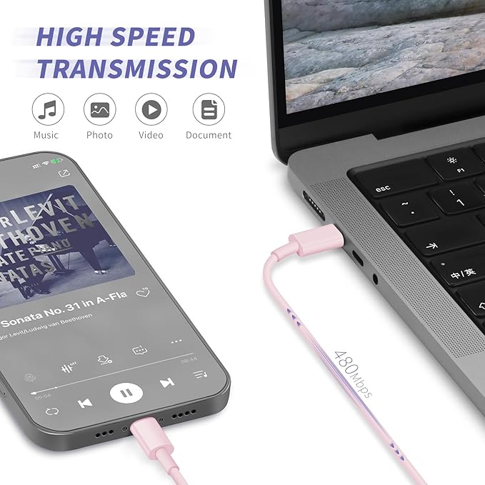 iPhone Charger Fast Charging,[MFi Certified] 2Pack 20W Type C Fast Charger Block with [10FT&6FT] USB C to Lightning Cable Compatible for iPhone 14/13/12/11 Pro Max/Xs Max/XR/X,iPad
