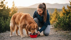 Collapsible Dog Bowl, Travel Dog Bowl, Collapsible Water Bowl for Dogs & Cats, Portable Silicone Dog Travel Bowl, Foldable Pet Food & Water Bowl, Outdoor Dog Bowls for Traveling (Red)