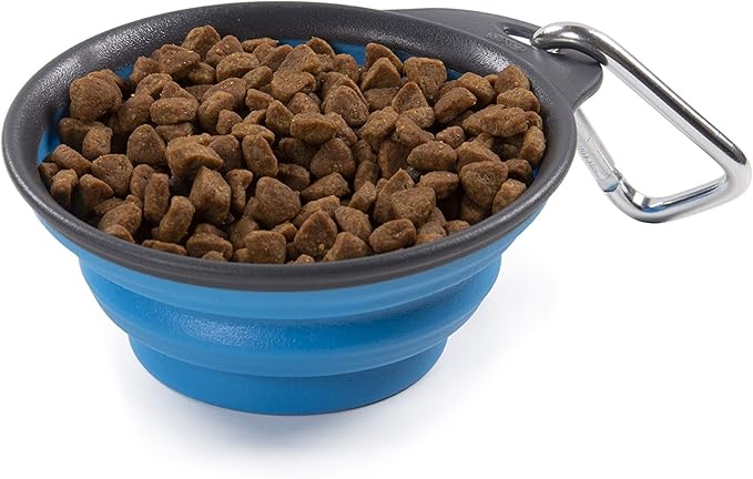 Dexas Pets Collapsible Travel Cup, Small/1 Cup Capacity, Pro Blue