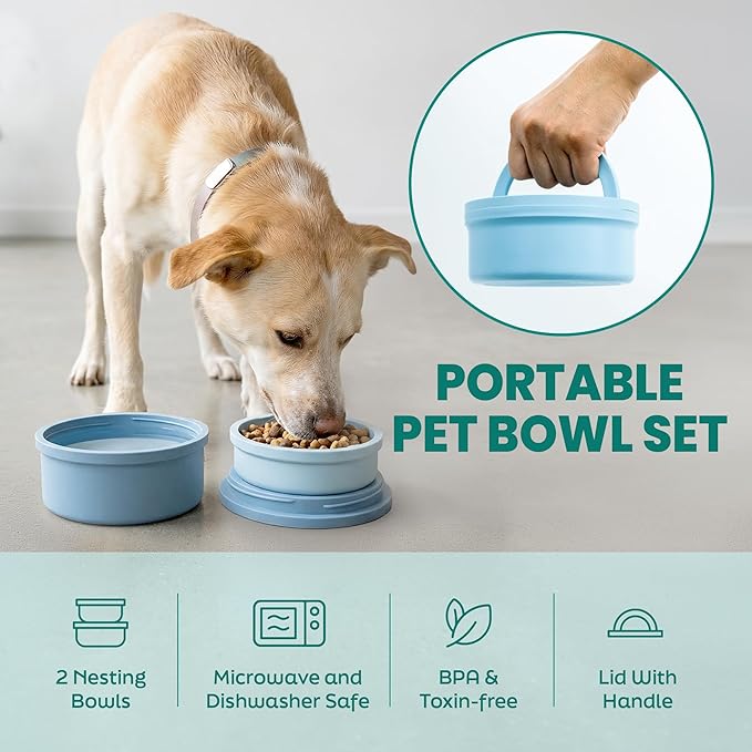 KindTail Portable Pet Feeder, Travel Dog Bowls with Lid and Handle, Microwave and Dishwasher-Safe, 10oz Inner Bowl & 20oz Outer Bowl, Grey