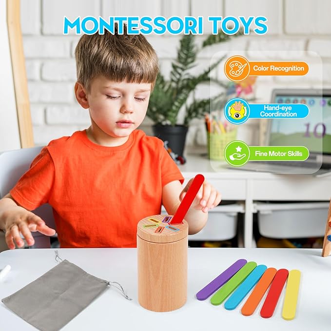 Montessori Toys for Toddler, Fine Motor Skills Toys Wooden Color Sorting Stacking Toy for Boys Girls Educational Gift for Kids Birthday