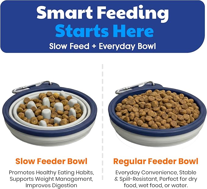American Kennel Club 2-Pack Collapsible Travel Bowls for Dogs – Blue/Gray, Portable Food & Water Bowls
