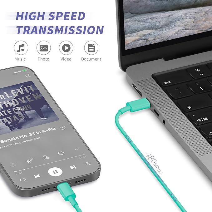 iPhone Charger Fast Charging,[MFi Certified] 2Pack 20W Type C Fast Charger Block with [10FT&6FT] USB C to Lightning Cable Compatible for iPhone 14/13/12/11 Pro Max/Xs Max/XR/X,iPad