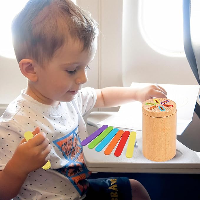 Montessori Toys for Toddler, Fine Motor Skills Toys Wooden Color Sorting Stacking Toy for Boys Girls Educational Gift for Kids Birthday