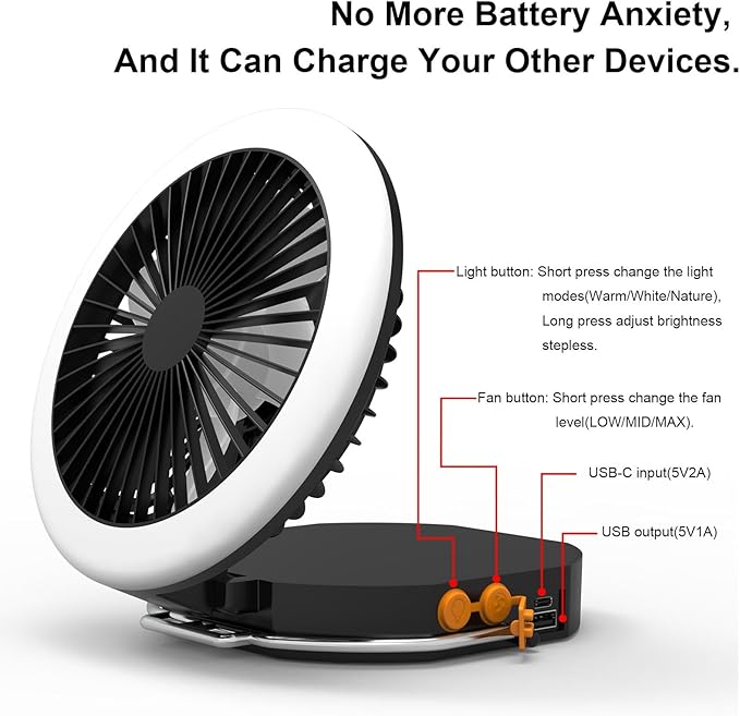 iodoo Camping Fan Light with Remote and Portable Carrying Bag - 12000mAh Rechargeable Battery, 24H Run Time, 2000LM, 3 Light Modes & Stepless Dimming, Ultra - Quiet Table Fan Baby Fan