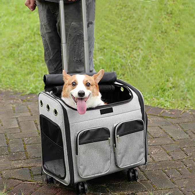 Foldable Black Aluminum Backpack Cart with 5 Swivel Wheels, Large Base, Ideal for Large Backpacks, Pet Carriers, Laptop Bags