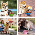 PetBonus 2-Pack Large Silicone Collapsible Dog Bowls, 34oz/1000ml BPA Free Portable Foldable Travel Bowl for Pet Cat, Food Water Feeding Dish for Camping with 2 Carabiners (Purple, Pink)