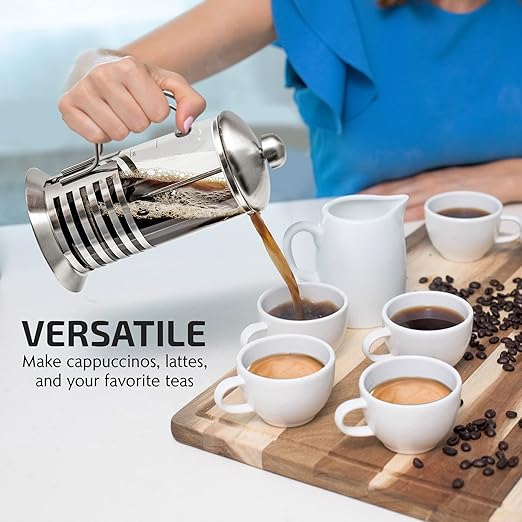 OVENTE French Press Coffee Maker 20 Ounce with Heat Resistant Borosilicate Glass, Stainless Steel Design and 4-Level Filter System, Portable Cold Brewer Pot for Travel, Camping or Gift, Silver FSH20S